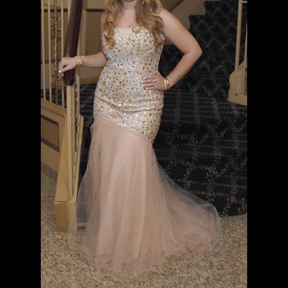 Terani evening dress size 10
